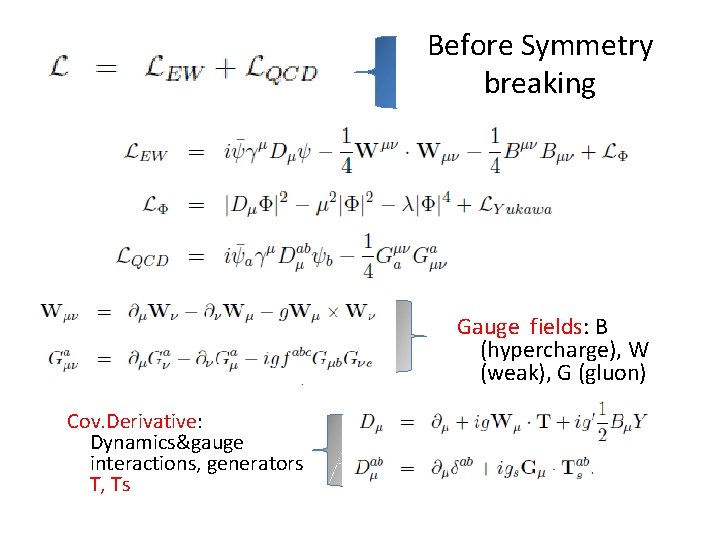 Before Symmetry breaking Gauge fields: B (hypercharge), W (weak), G (gluon) Cov. Derivative: Dynamics&gauge