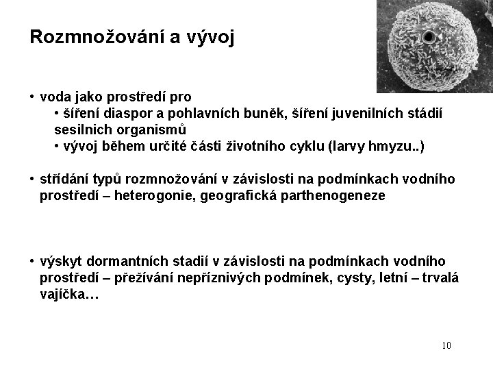 Rozmnožování a vývoj • voda jako prostředí pro • šíření diaspor a pohlavních buněk, Rozmnožování a vývoj • voda jako prostředí pro • šíření diaspor a pohlavních buněk,
