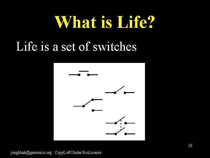 What is Life? Life is a set of switches 18 jongbhak@genomics. org Copy. Left