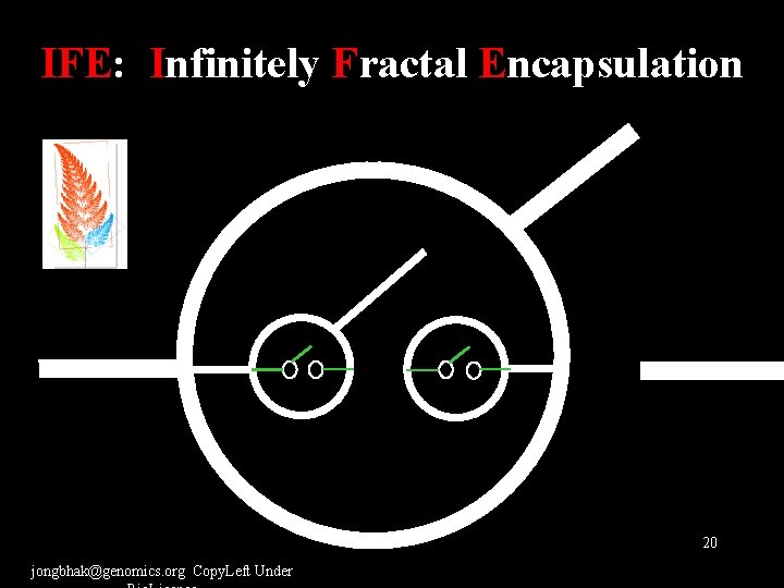 IFE: Infinitely Fractal Encapsulation 20 jongbhak@genomics. org Copy. Left Under 