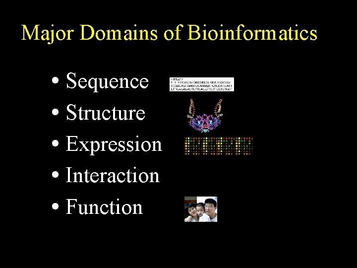 Major Domains of Bioinformatics • Sequence • Structure • Expression • Interaction • Function