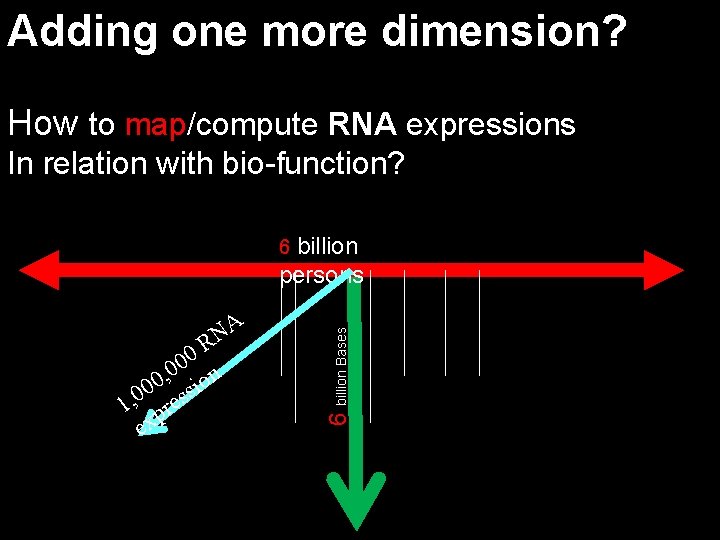 Adding one more dimension? How to map/compute RNA expressions In relation with bio-function? billion