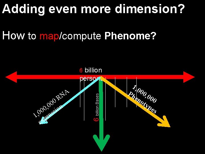 Adding even more dimension? How to map/compute Phenome? billion persons A N R 0