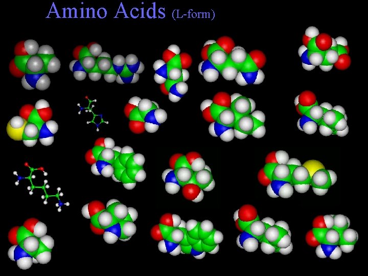 Amino Acids (L-form) 