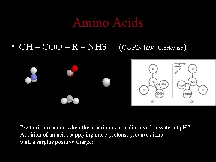Amino Acids • CH – COO – R – NH 3 (CORN law: Clockwise)