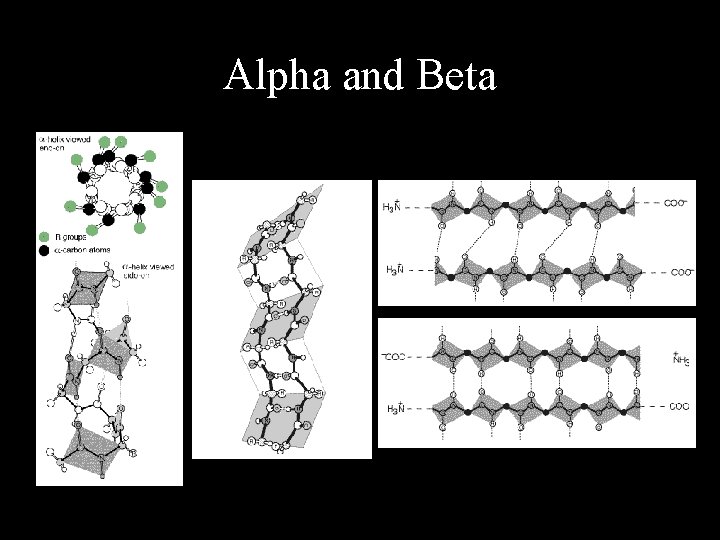 Alpha and Beta 