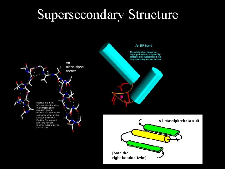 Supersecondary Structure 