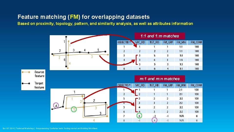 Feature matching (FM) for overlapping datasets Based on proximity, topology, pattern, and similarity analysis,