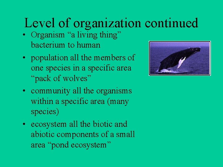 Level of organization continued • Organism “a living thing” bacterium to human • population