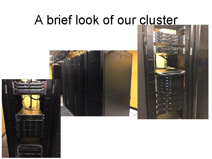 A brief look of our cluster 
