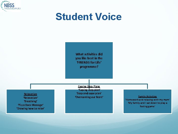 Student Voice What activities did you like best in the ‘FRIENDS for Life’ programme?