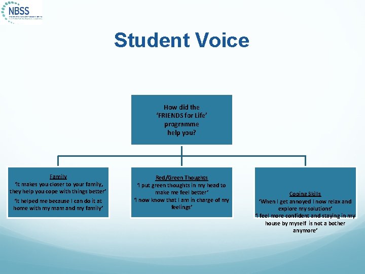 Student Voice How did the ‘FRIENDS for Life’ programme help you? Family ‘It makes