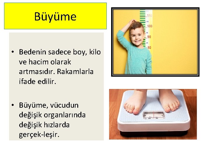 Büyüme • Bedenin sadece boy, kilo ve hacim olarak artmasıdır. Rakamlarla ifade edilir. •