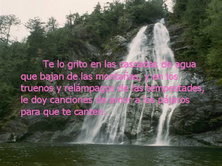 Te lo grito en las cascadas de agua que bajan de las montañas, y