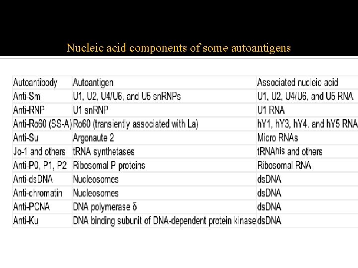 Nucleic acid components of some autoantigens 