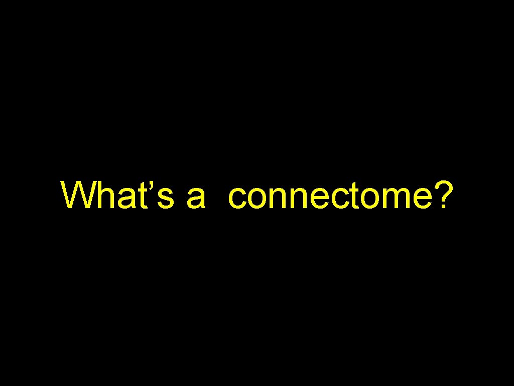 What’s a connectome? 