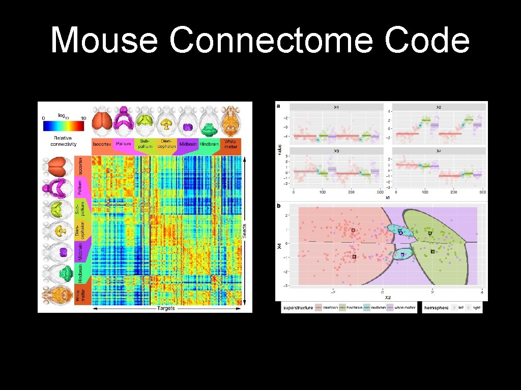 Mouse Connectome Code 