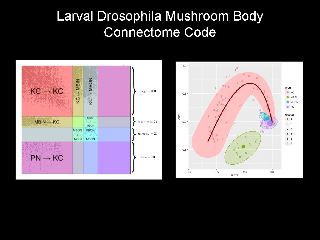 Larval Drosophila Mushroom Body Connectome Code 
