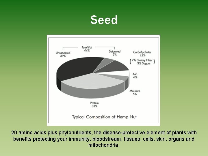 Seed 20 amino acids plus phytonutrients, the disease-protective element of plants with benefits protecting
