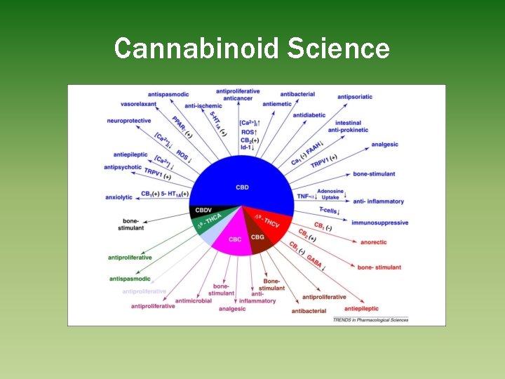 Cannabinoid Science 