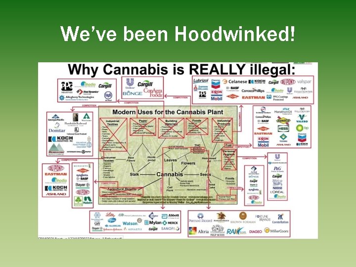 We’ve been Hoodwinked! 