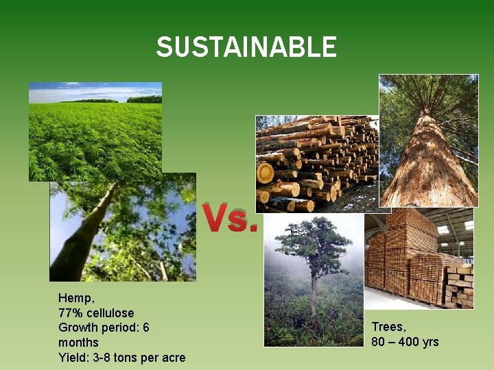 SUSTAINABLE Vs. Hemp, 77% cellulose Growth period: 6 months Yield: 3 -8 tons per