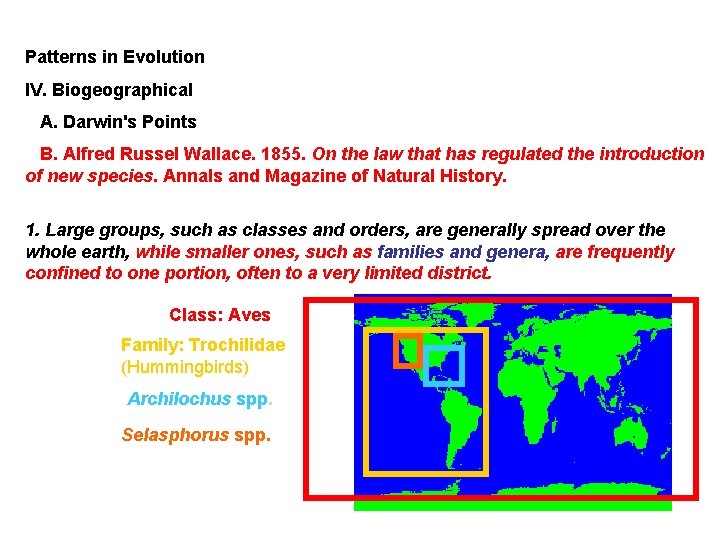 Patterns in Evolution IV. Biogeographical A. Darwin's Points B. Alfred Russel Wallace. 1855. On