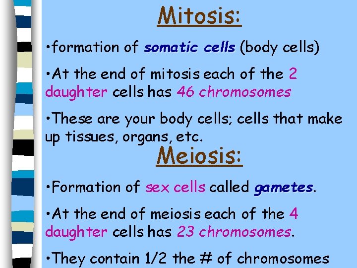 Mitosis: • formation of somatic cells (body cells) • At the end of mitosis