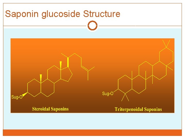 Saponin glucoside Structure 