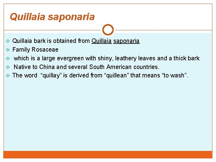 Quillaia saponaria v Quillaia bark is obtained from Quillaia saponaria v Family Rosaceae v