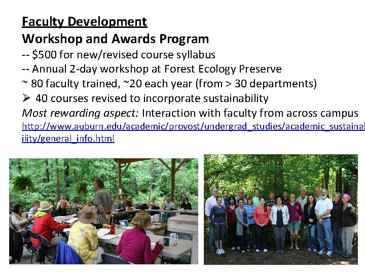 Faculty Development Workshop and Awards Program -- $500 for new/revised course syllabus -- Annual