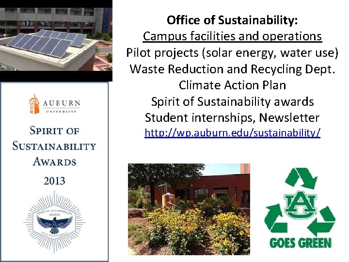 Office of Sustainability: Campus facilities and operations Pilot projects (solar energy, water use) Waste