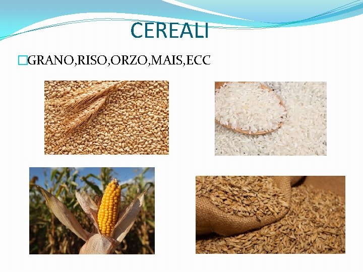 CEREALI �GRANO, RISO, ORZO, MAIS, ECC 