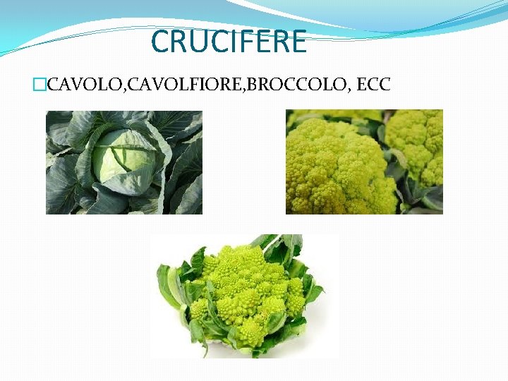 CRUCIFERE �CAVOLO, CAVOLFIORE, BROCCOLO, ECC 