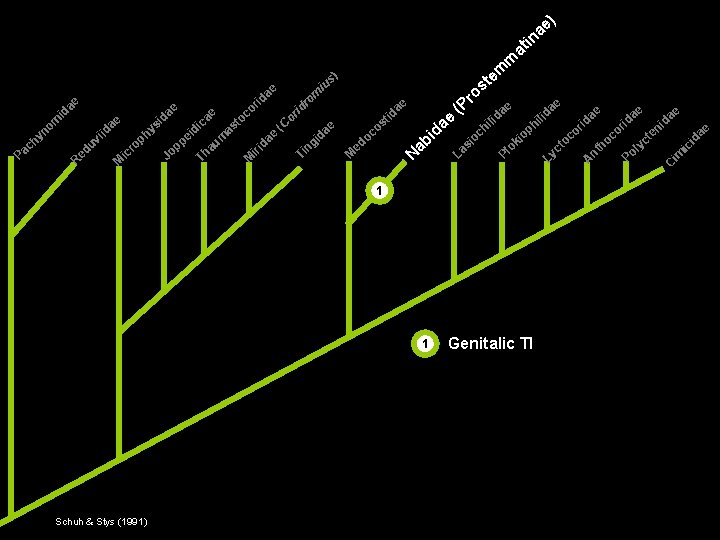 ) e na i at R M r ic d p Jo i pe