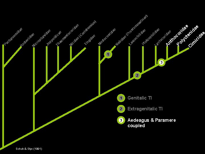 R M um a Th o ae M d iri (C id t os