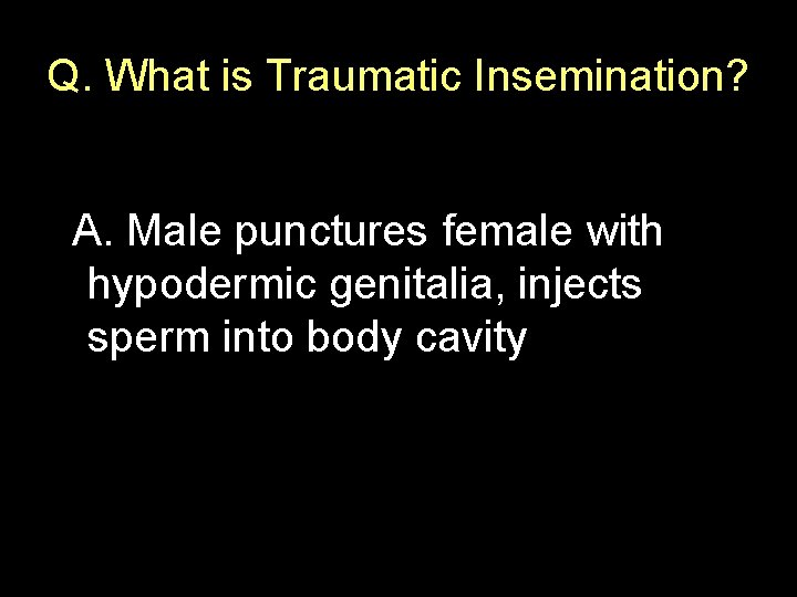 Q. What is Traumatic Insemination? A. Male punctures female with hypodermic genitalia, injects sperm