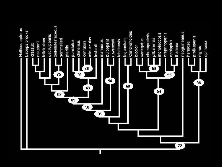 59 75 56 92 55 96 86 68 63 54 98 85 50 86