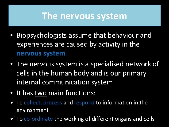 The nervous system • Biopsychologists assume that behaviour and experiences are caused by activity