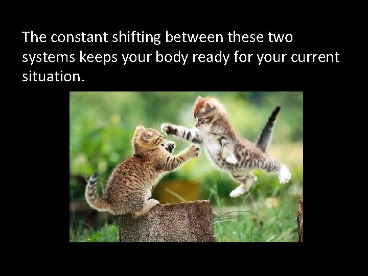 The constant shifting between these two systems keeps your body ready for your current