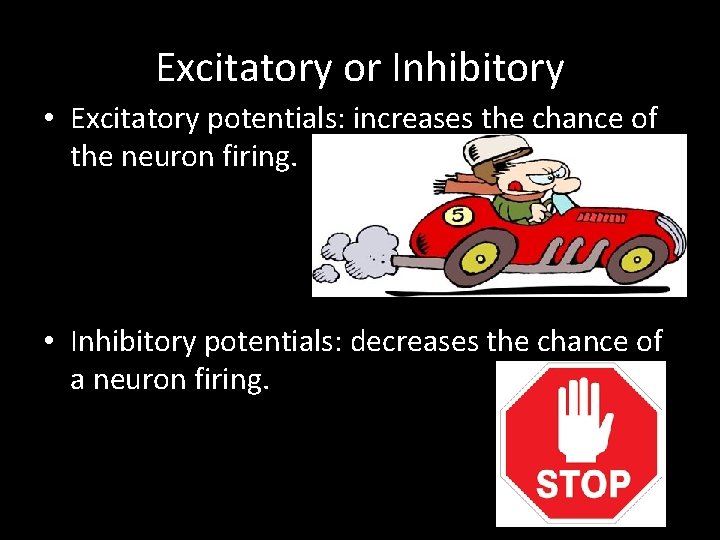 Excitatory or Inhibitory • Excitatory potentials: increases the chance of the neuron firing. •