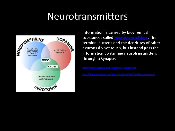Neurotransmitters Information is carried by biochemical substances called neurotransmitters. The terminal buttons and the