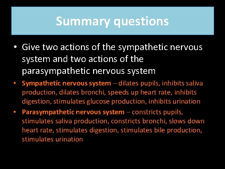 Summary questions • Give two actions of the sympathetic nervous system and two actions