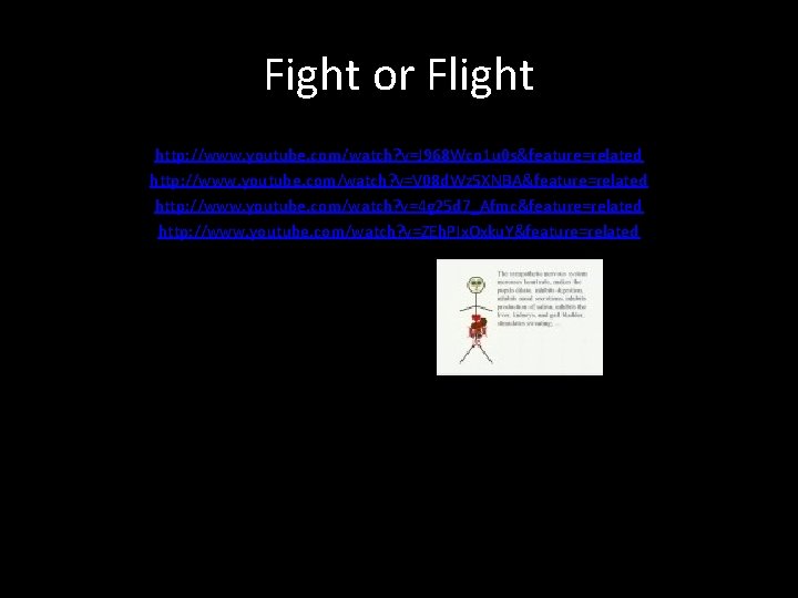 Fight or Flight http: //www. youtube. com/watch? v=J 968 Wco 1 u 0 s&feature=related