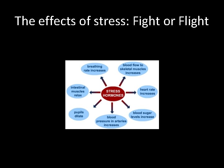 The effects of stress: Fight or Flight 
