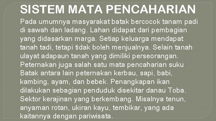 SISTEM MATA PENCAHARIAN Pada umumnya masyarakat batak bercocok tanam padi di sawah dan ladang.