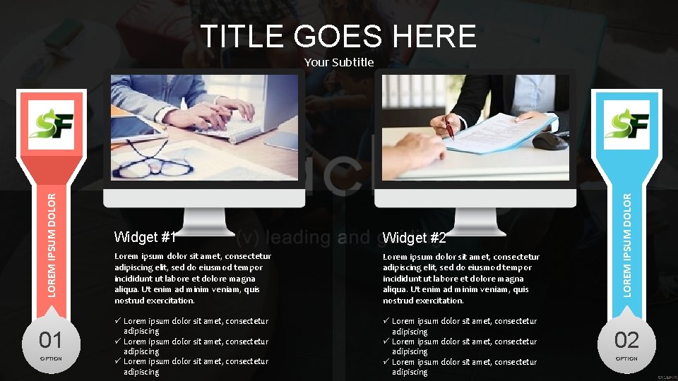 TITLE GOES HERE 01 OPTION Widget #1 Widget #2 Lorem ipsum dolor sit amet,
