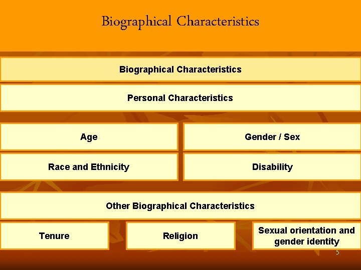 Biographical Characteristics Personal Characteristics Age Gender / Sex Race and Ethnicity Disability Other Biographical