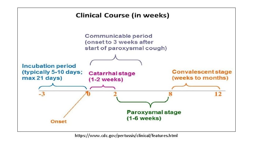 https: //www. cdc. gov/pertussis/clinical/features. html 