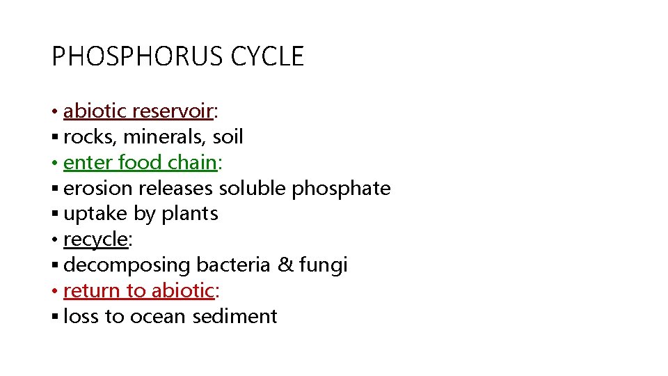 PHOSPHORUS CYCLE • abiotic reservoir: § rocks, minerals, soil • enter food chain: §